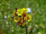 20070322 15.jpg